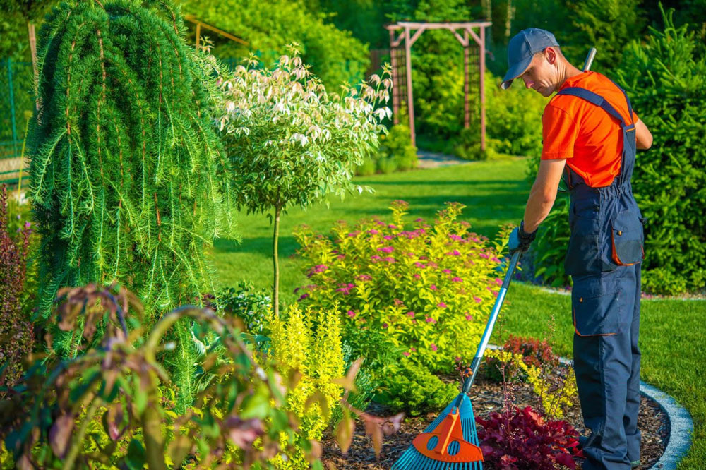 Aménagement de jardin dans le Var
